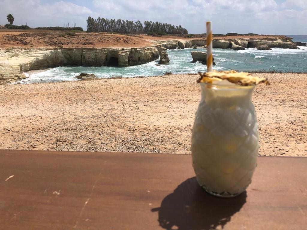 Paphos 207 Kings Palace Seaview מראה חיצוני תמונה